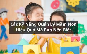 quản lý mầm non