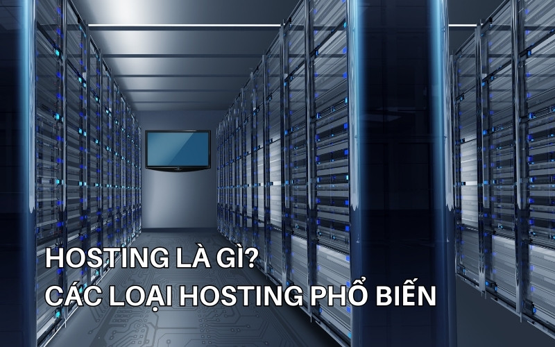 các loại hosting phổ biến